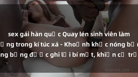 sex gái hàn quốc Quay lén sinh viên làm tình ngay trên giường trong kí túc xá - Khoảnh khắc nóng bỏng được ghi lại bí mật, khiến cả trường học xôn xao.